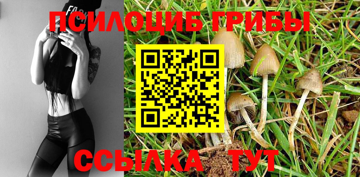 Псилоцибиновые грибы Magic Shrooms Южно-Сахалинск